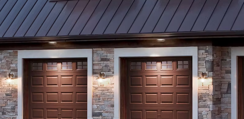 Bio-Dex Website Screenshot